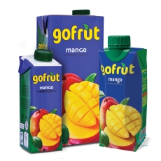 GOFRUT MANGO 1L